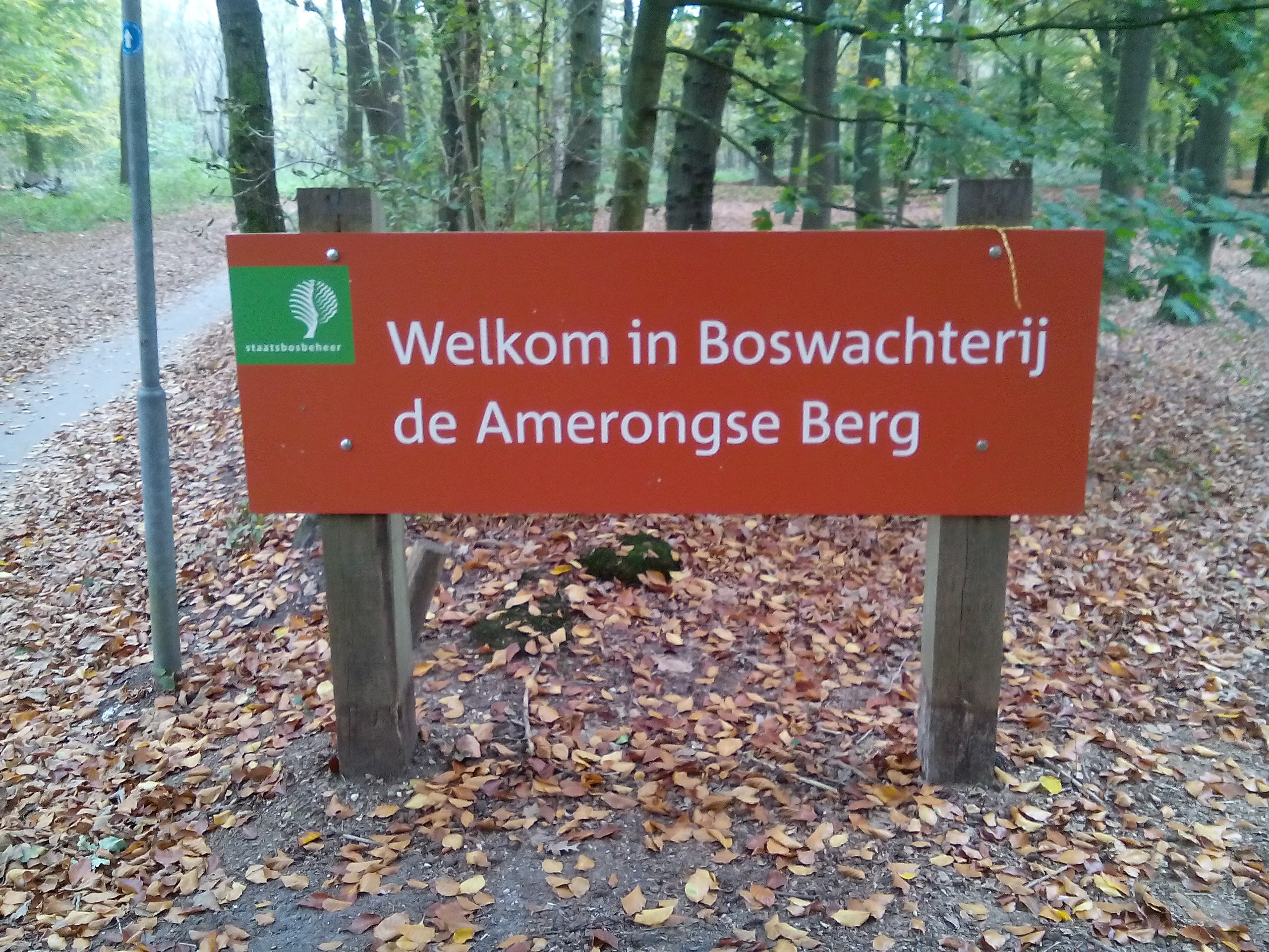 IMG welkom